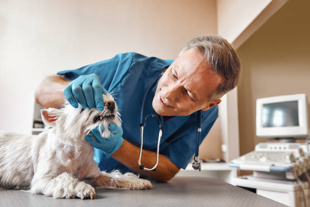 Best Weekend Emergency Dentist in Carnegie, OK